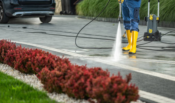 Best Deck Cleaning Services  in Philmont, NY